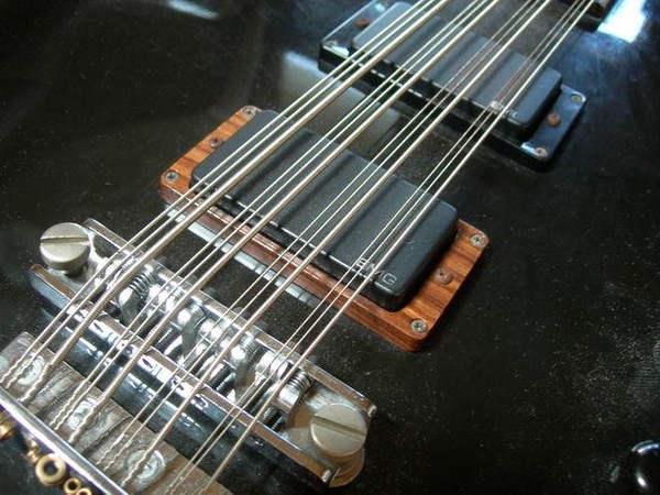 12-String Bass Guitar