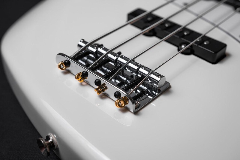 How Many Strings Does a Bass Guitar Have? Guitar Genix