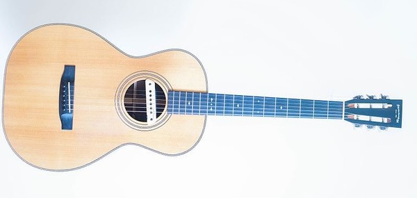 Acoustic-Electric Guitar