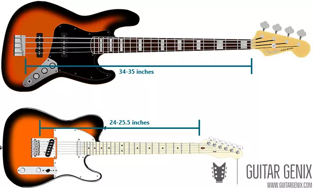 Comparison of Scale Length of a Bass Guitar and Electric Guitar