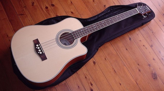 Acoustic Bass Guitar