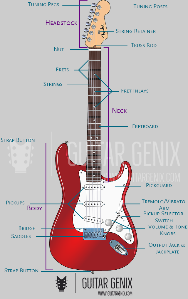 The different parts and sections of an electric guitar