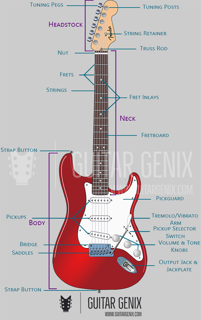 Different Parts of an Electric Guitar and Their Functions - Guitar