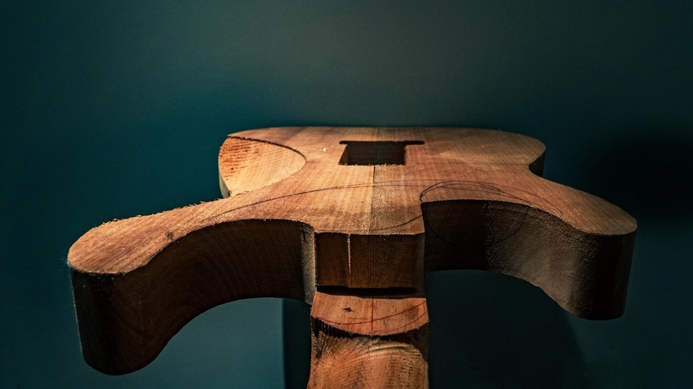 Ash vs Alder Guitar Tonewoods. Which One to Choose and Why? Guitar Genix