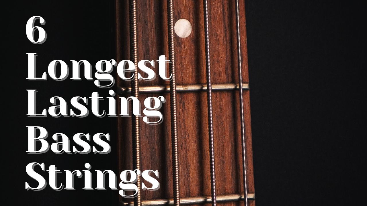 Longest lasting bass strings store